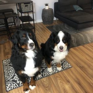 Meet your Posher, Kristina